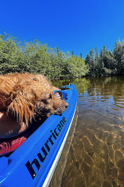Kayaks Northbound